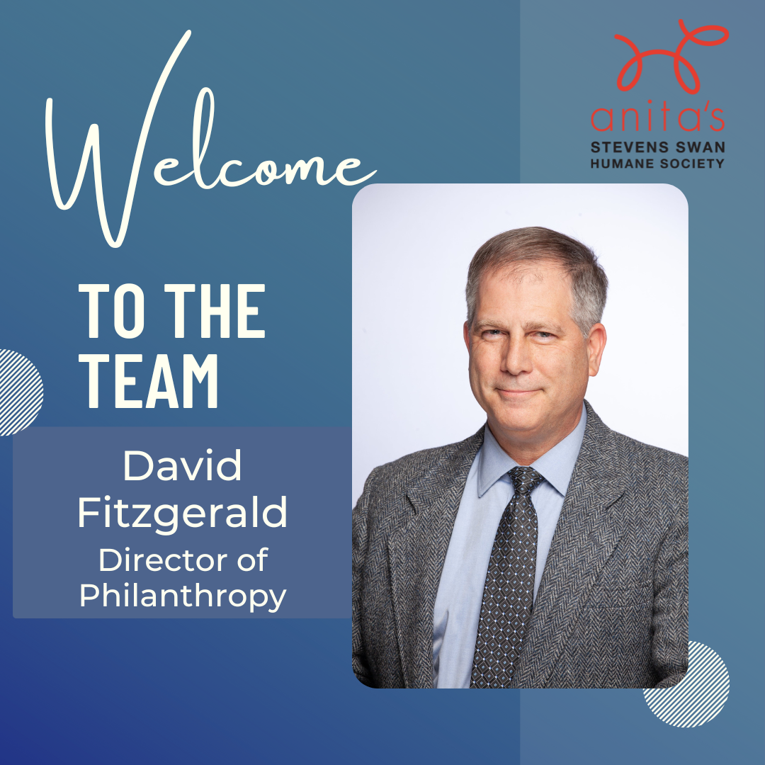 David Announcement