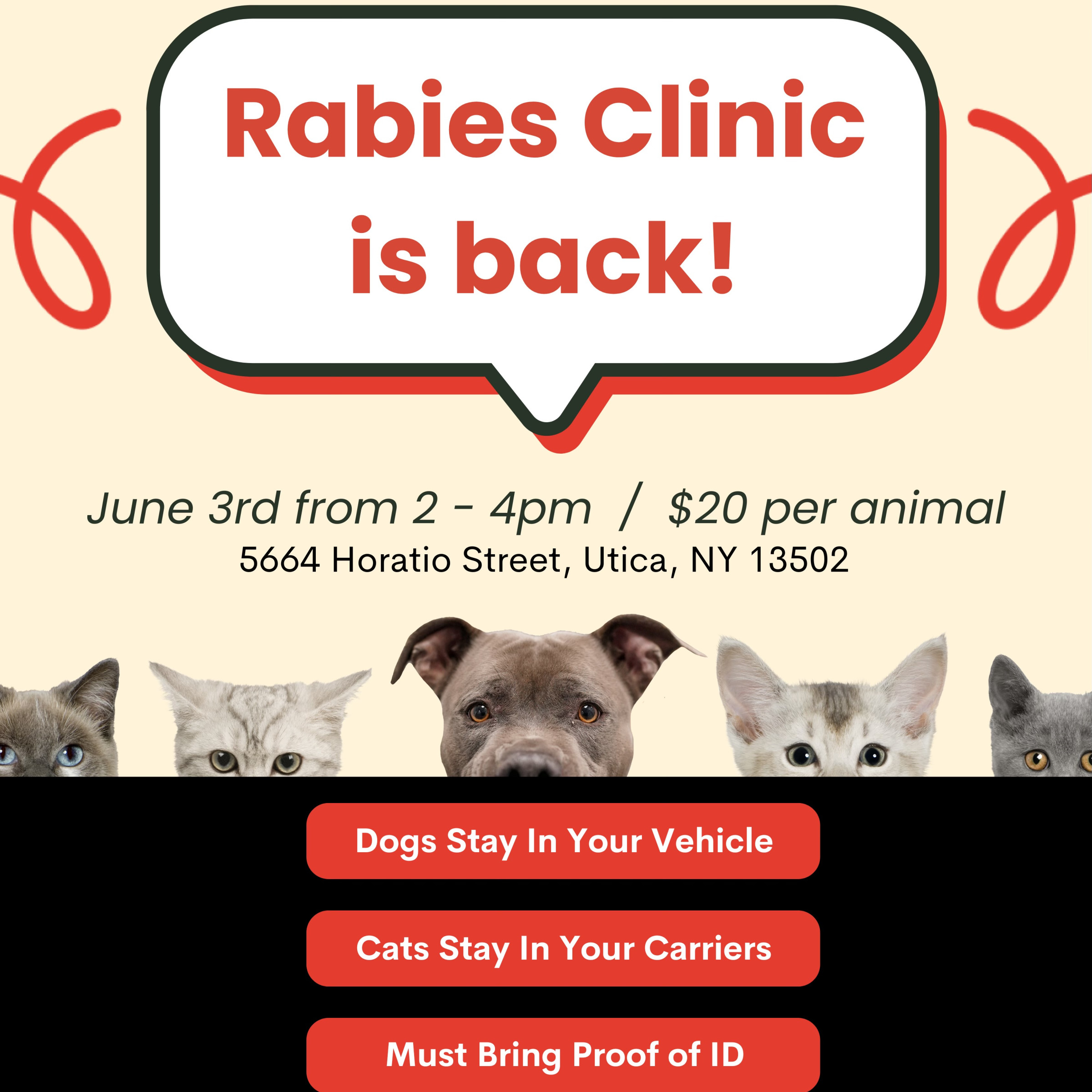 rabies-clinic-anita-s-stevens-swan-humane-society