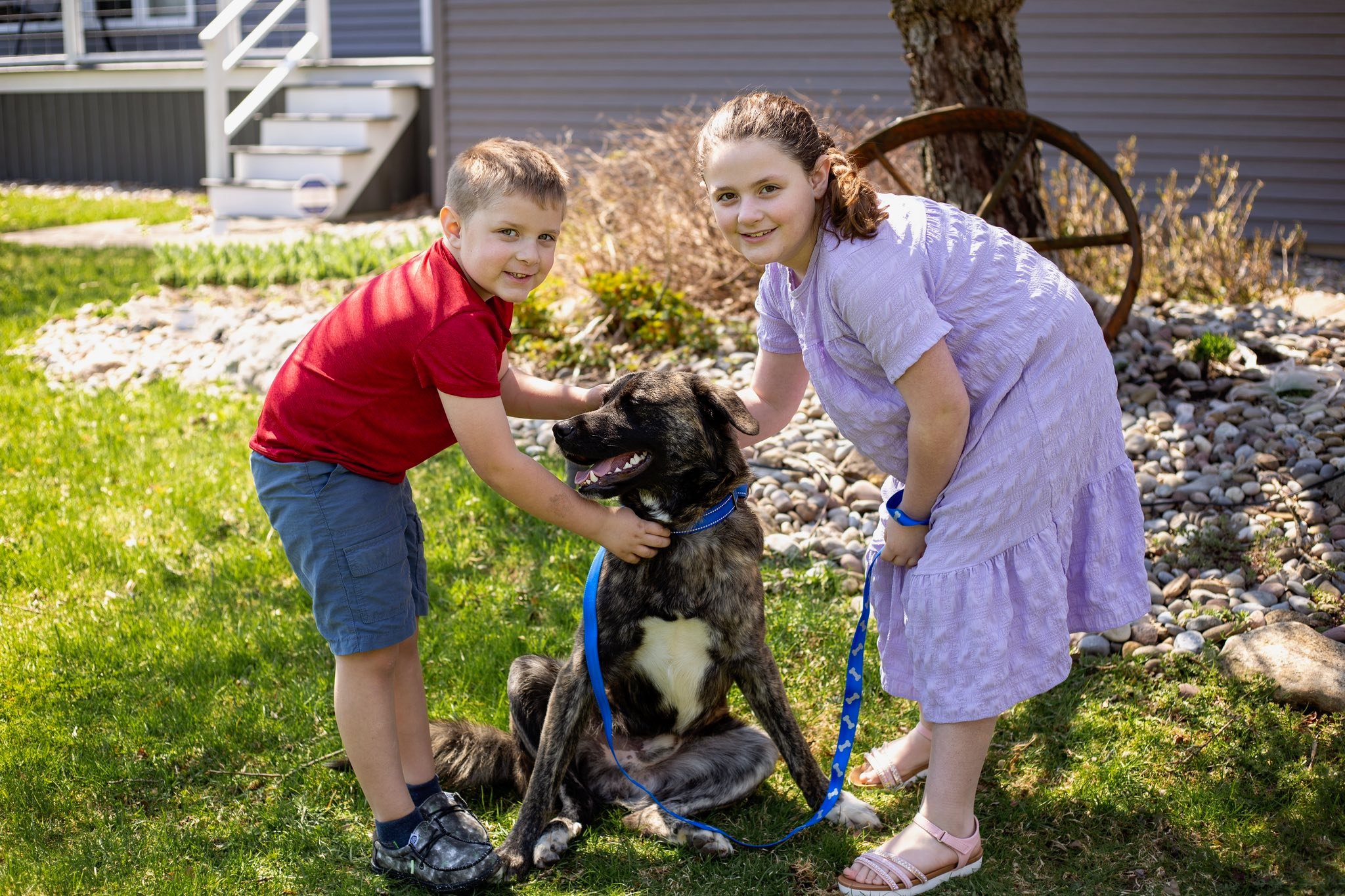 Foster Friends Foster Program
