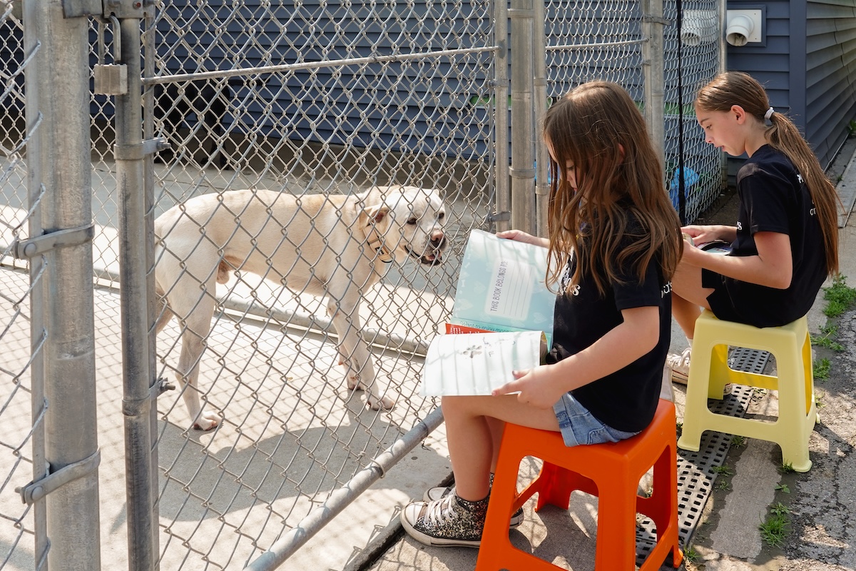 Paws & Pages Reading Program