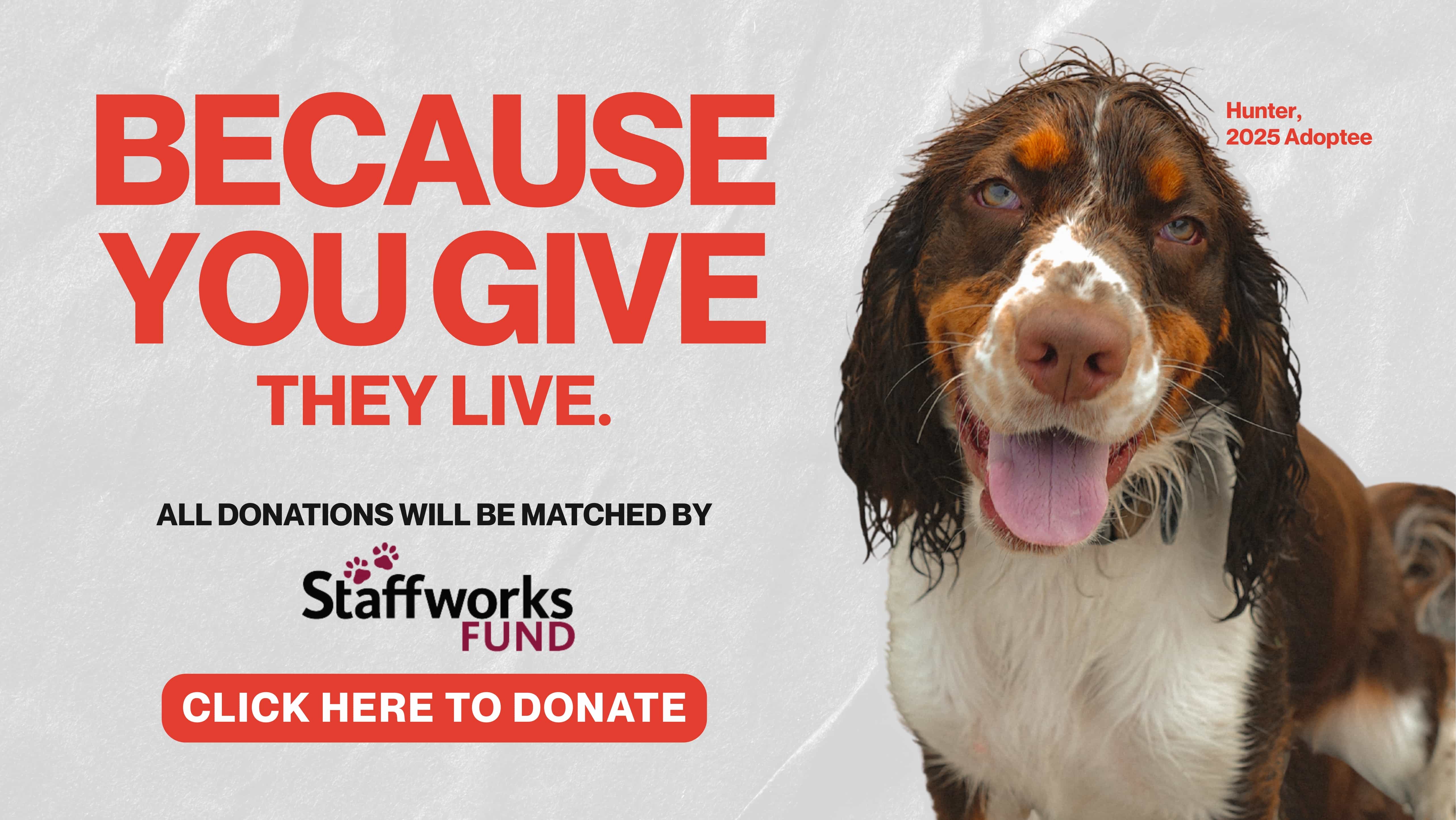 2025 Because You Give