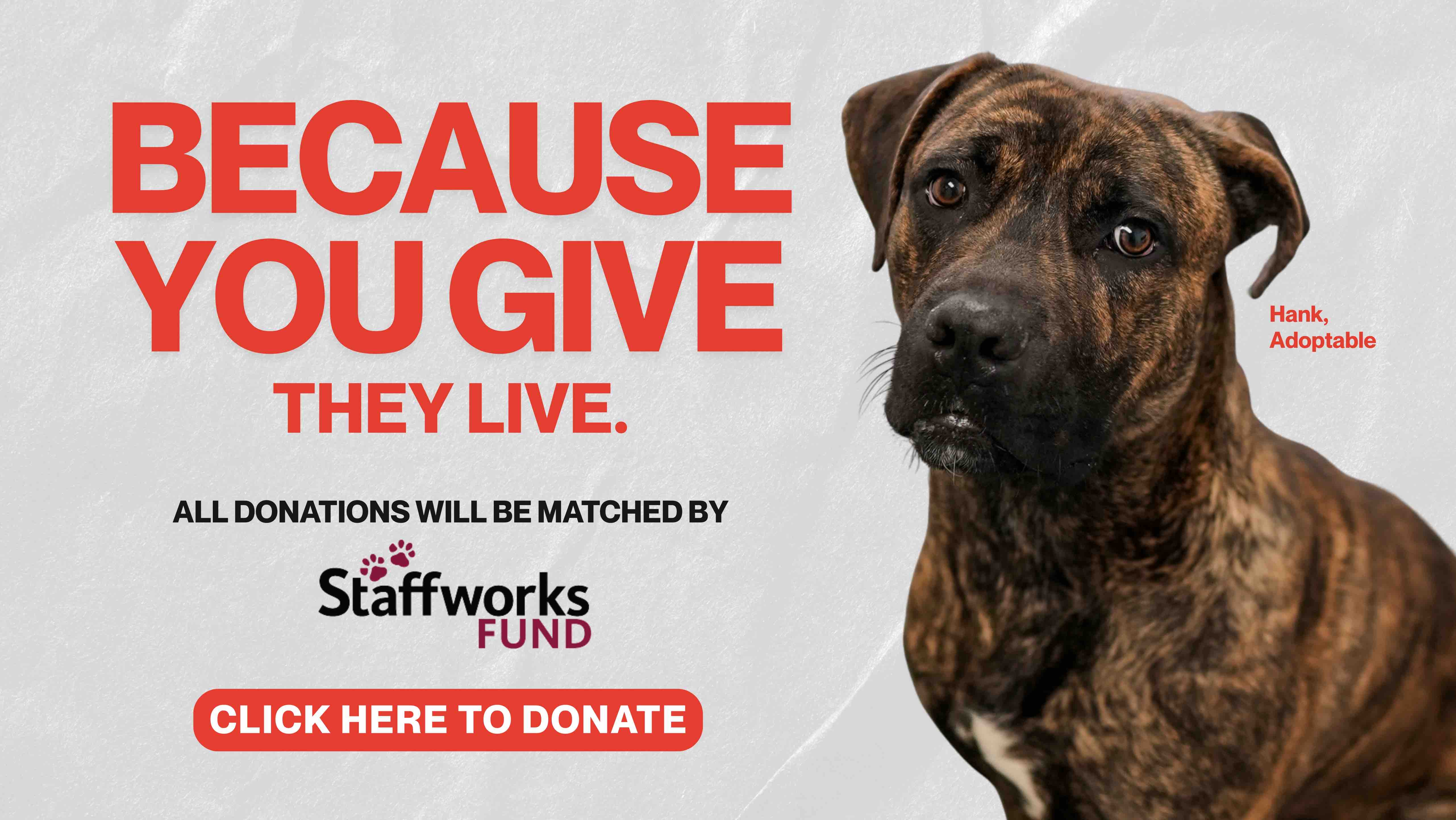 2025 Because You Give