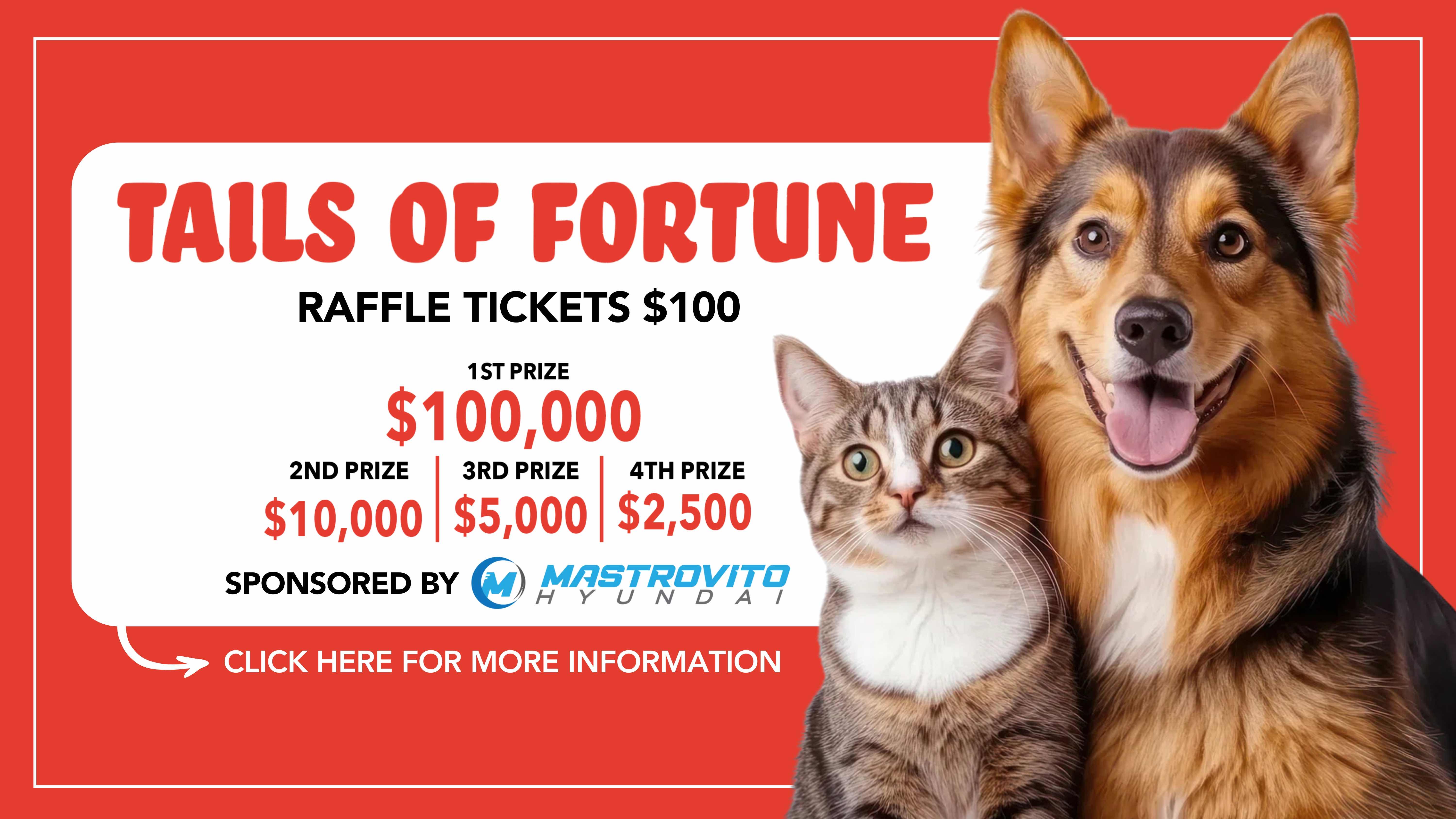 Tails of Fortune