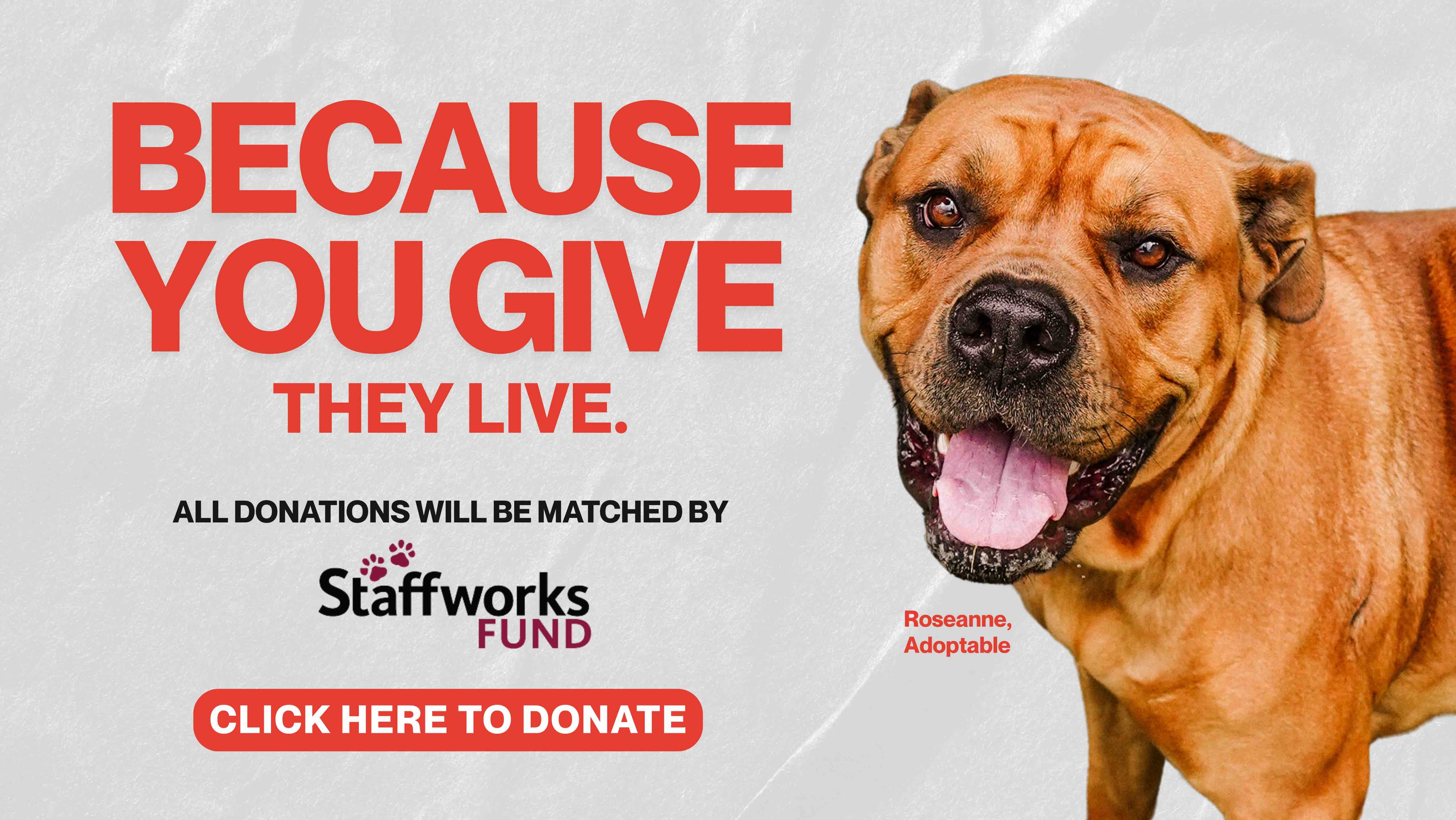 2025 Because You Give