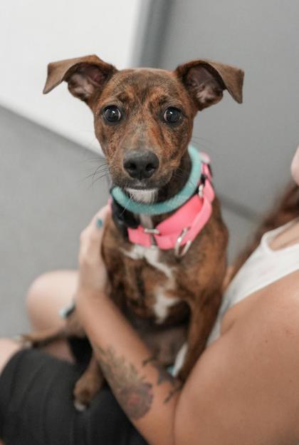Delilah