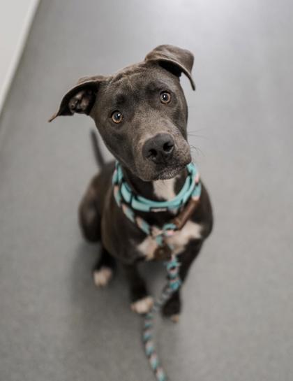 Blue aka Ma